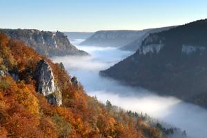 Herbstfärbung im Donautal