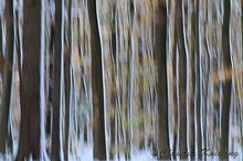 Verwischt: Winter im Herbst
