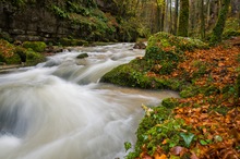 Herbststimmung