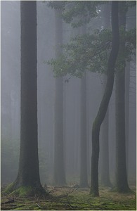 Anders als Andere