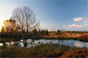 Abends im Hohen Venn