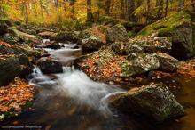 Herbst im Ilsetal