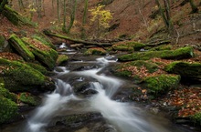 In der Ehrbachklamm