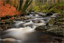 ~ Herbst in den Ardennen ~