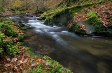 In der Ehrbachklamm II