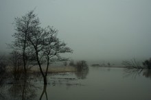 Morgenstimmung an der Altmühl