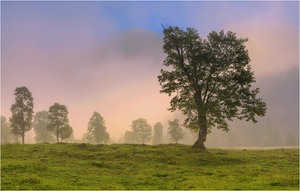 Morgennebel im großen Ahornboden...