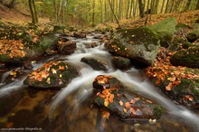 Isle im Herbst