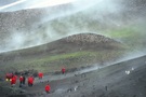 Zügelpinguine im Klimawandel