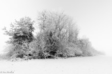 der Winter kommt