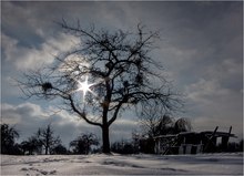 ....noël naturel...
