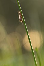 Auf  dem  WEG  zum  Licht...