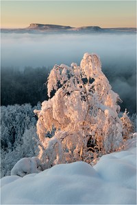 Winterwelt mit Zschirnsteinen