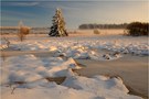 Winterabend im Brackvenn