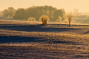 Wintermorgen