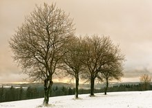 Nachmittagsspaziergang in der winterlichen Rhön