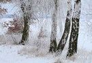 Winterliche Feldflur in Brandenburg