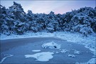 ~ Winter ~