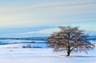 Weihnachten im Erzgebirge