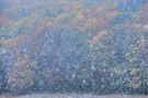 -Schneefall im Herbst -