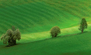 Frühling in der Steiermark