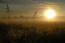 Gegenlicht