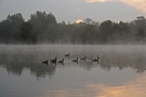 Morgens am Rotbachsee