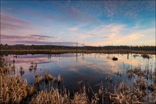 Abends im Schwenninger Moos