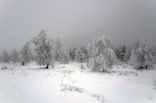 Winterlandschaft