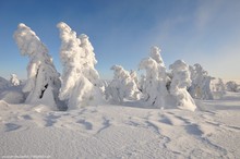 Schneemänner