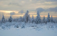 Winterlandschaft