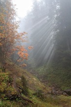 Lichtblick in düsteren Zeiten....