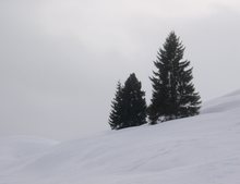 Auf der Seiser Alm