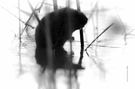 schatten des hochwassers...