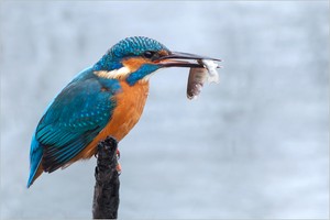 Mahlzeit..