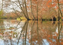 An der Spree