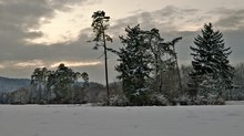 Eiskalte Schwaig