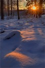 Sonnenuntergang im Winterwald