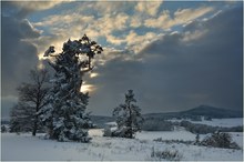 Winter in der Eifel