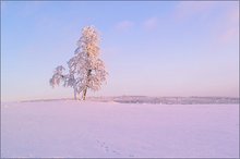 Winterabend am Erzgebirgskamm