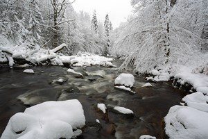 Die Rückkehr des Winters