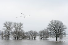 Winterhochwasser