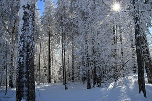 Winter auf dem Belchen