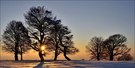 - Wintertraum -