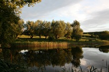 Abendstimmung bei Ulrichshusen