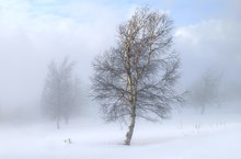 Winterlandschaft