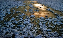 Die Pfütze, der Neuschnee und die Sonne