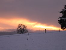 abendliche Winterstimmung