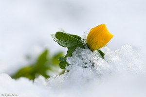 Der Kampf gegen den Winter