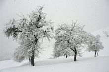 Wanderung bei Schneefall 2